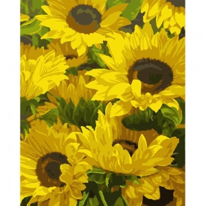 Набір картина за номерами SANTI 40 * 50 Сонячні квіти (953825)