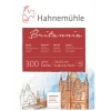 Блок для акварелі Hahnemuhle Britannia блок НР 24*32 300г 12 арк (10628641)