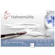 Блок для акварелі Hahnemuhle Harmony rough А4 300г 12 арк(10628840)