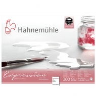 Блок для акварелі Hahnemuhle Harmony СР А4 300г 12 арк (10628040)