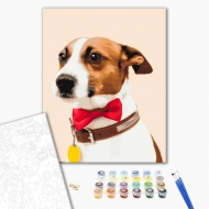 Картина за номерами BrushMe 40х50 см Собачка чемпіон  (BS51330)