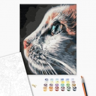 Картина за номерами BrushMe 40х50 см Котопрофіль (BS51792)