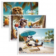 Альбом для малювання 20 аркушів 100г/м2 на спіралі (PB-SC-020-8506)